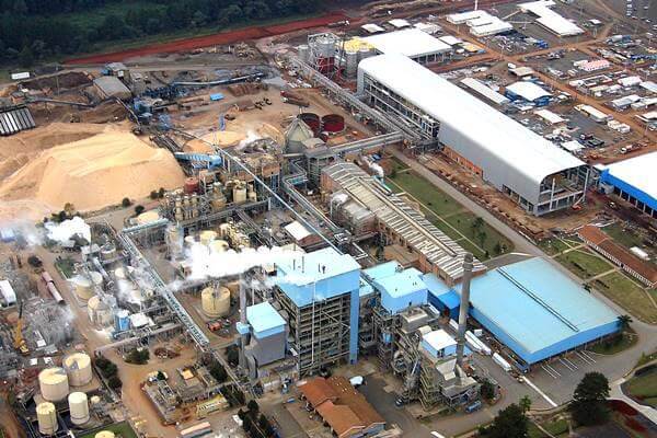FOX Brasil Project Logistics for Pulp and Paper Industry